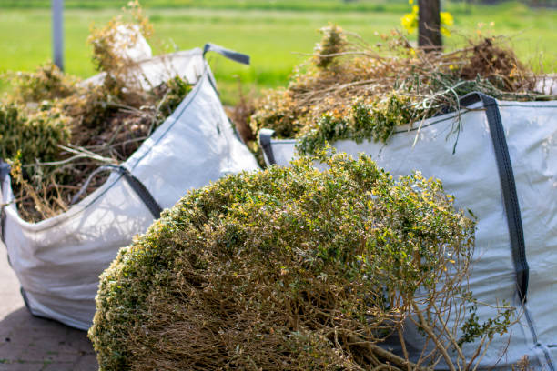 Best Residential Junk Removal  in Homer Glen, IL